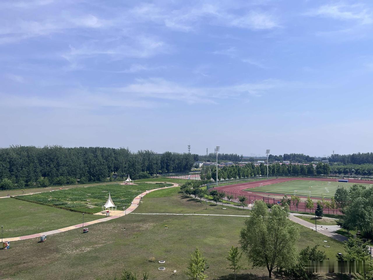 两天奔袭延庆怀柔：带留学生路遇“凶悍”大鹅，杏树下感慨中国孩子素质真高。

昨天