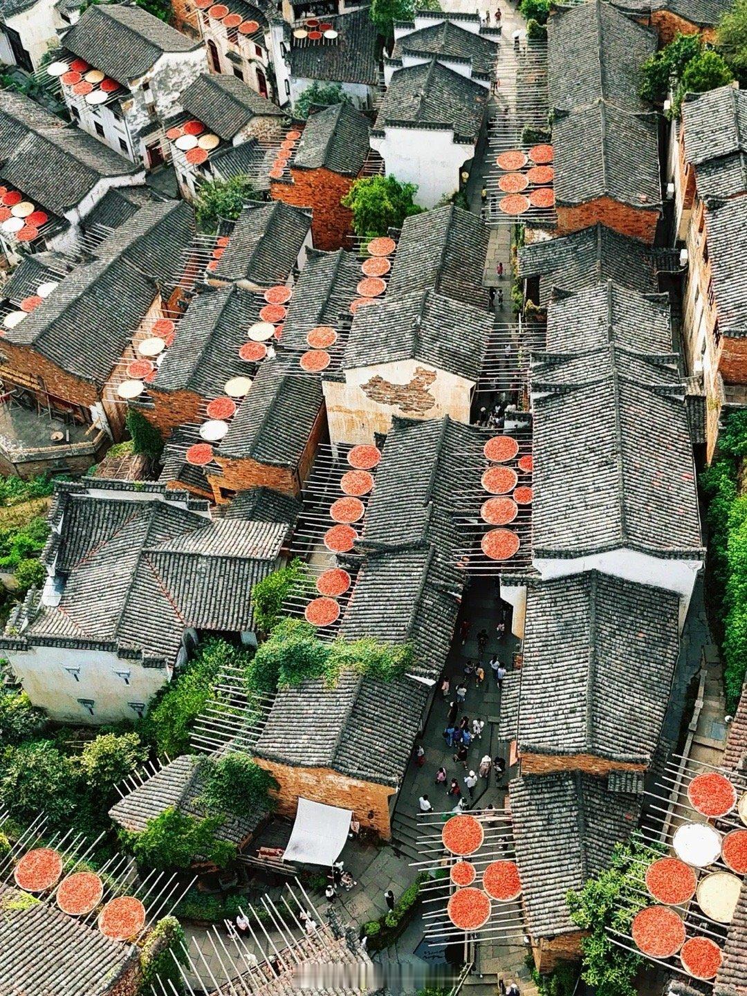 篁岭晒秋节如期而至，来晒生活节别错过！立秋，夏尽，秋启。“篁岭一晒，便已知秋”。