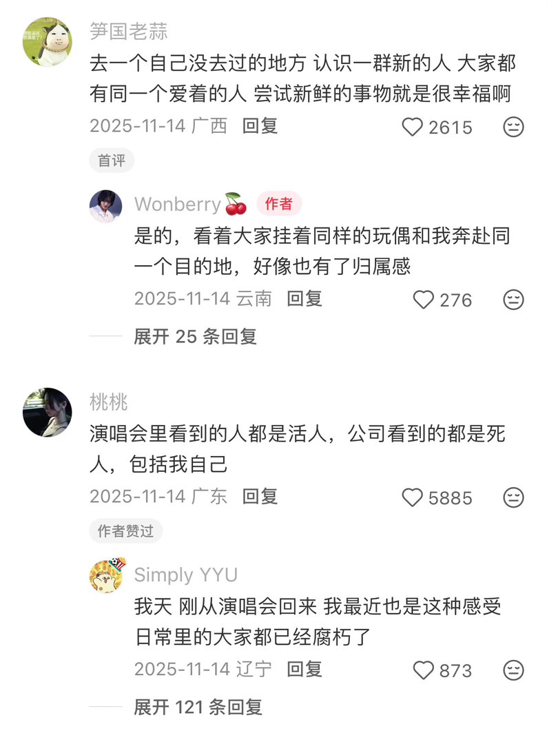 演唱会就是情绪的抚慰剂 
