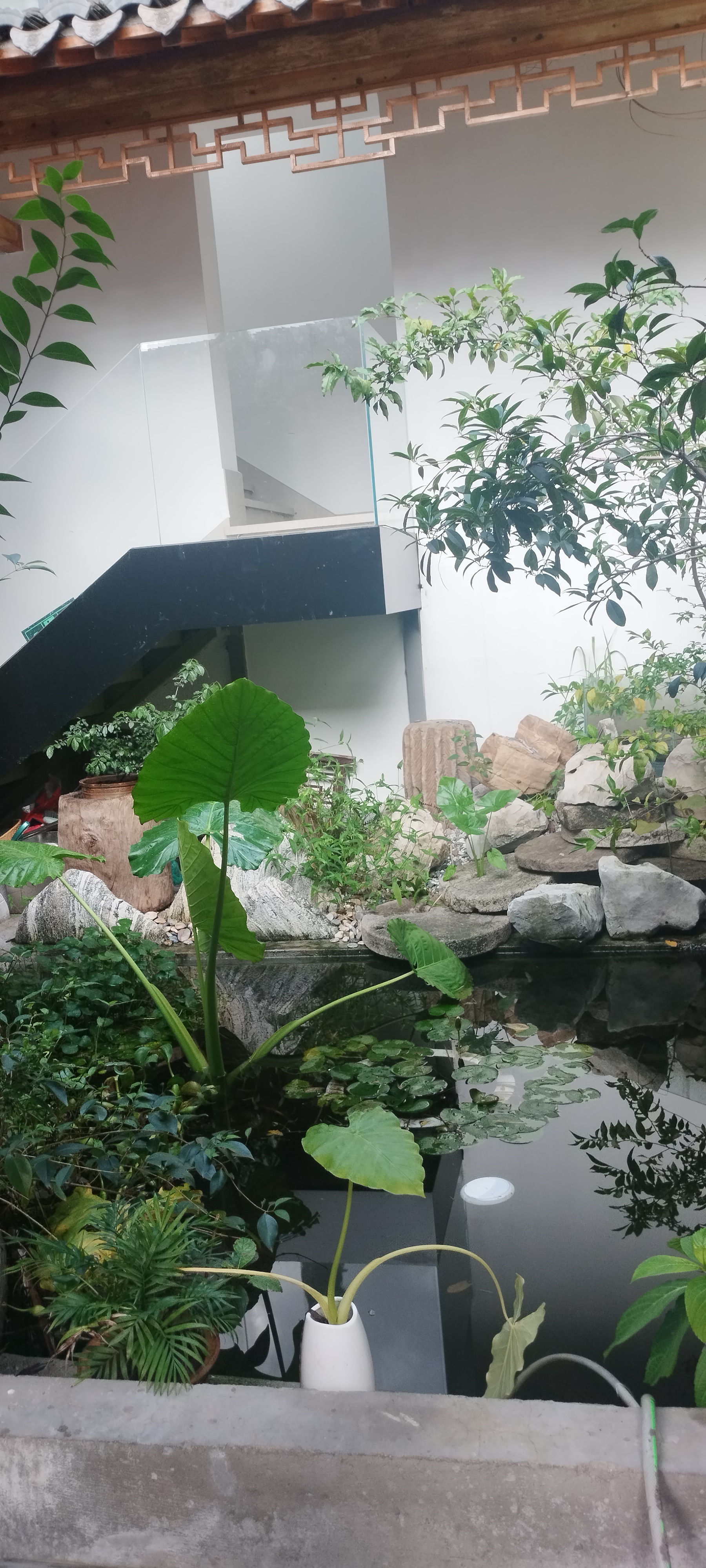 西塘，再见 