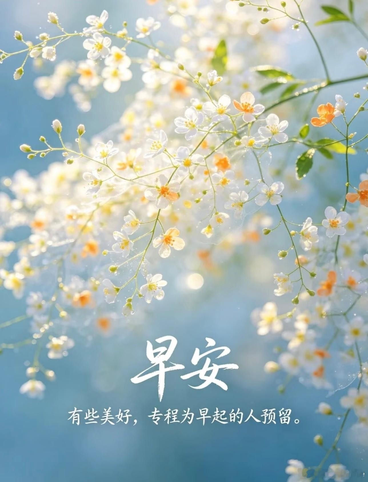 早安  hyr早安 早安呀。不必急着赶路，也不必时刻光芒万丈。就像书里说的：“日