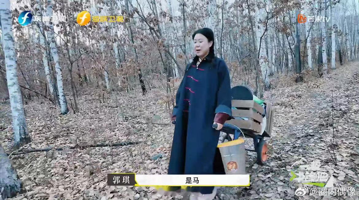 终于有综艺让老板当牛马了《一起冲锋吧》太懂打工人了！让老板骑电车、牵马、拉板车爬