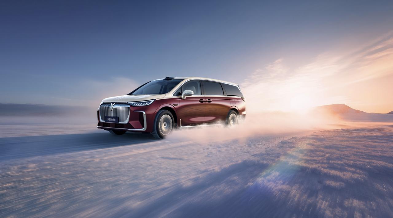 去年一年岚图梦想家卖了多少台？80248台，多次蝉联高端MPV销冠。这表现相当出