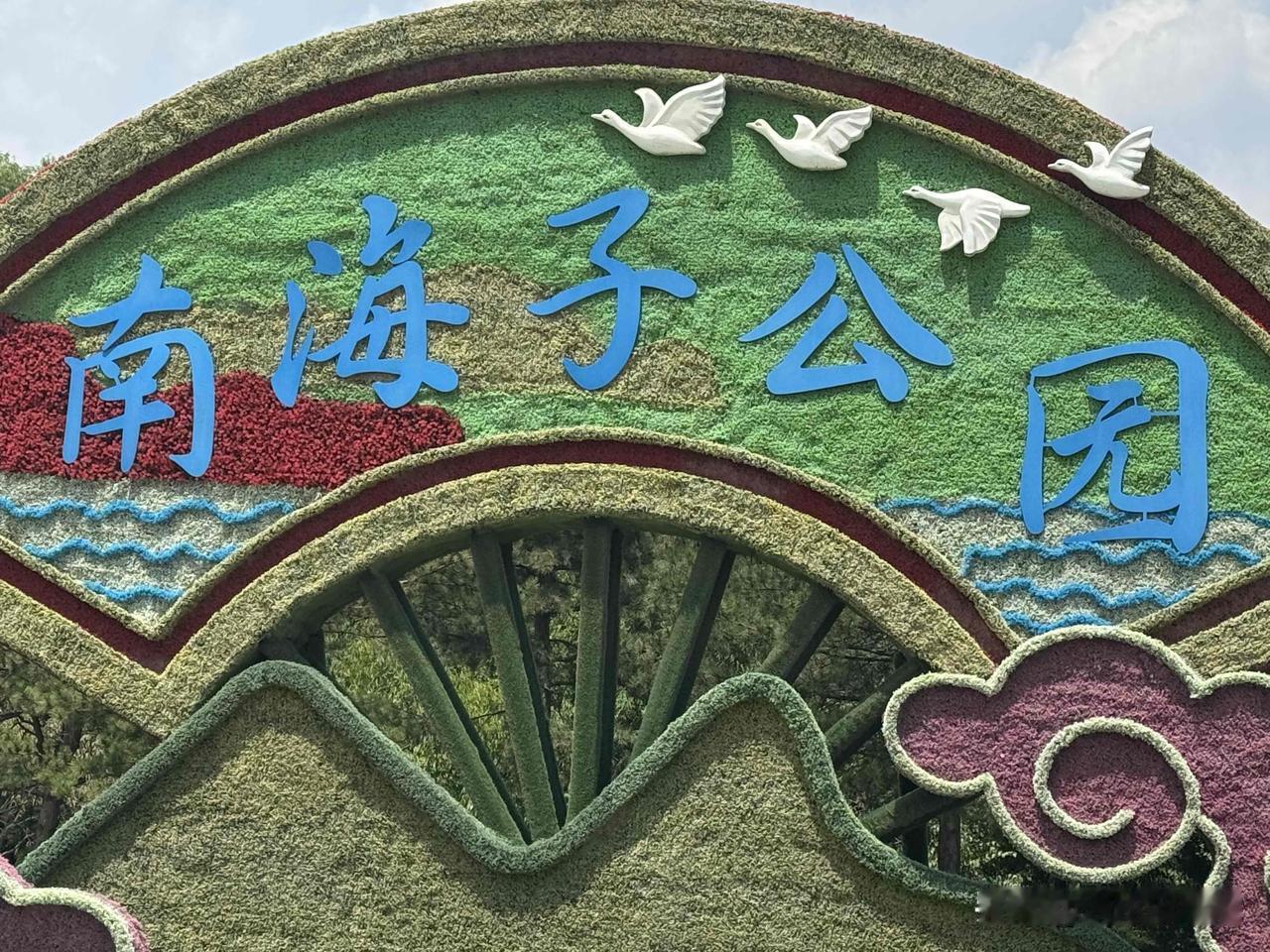 来南海子公园是因为前段时间有个关系不错的朋友说：她（上班时候的同事）身体也不好了