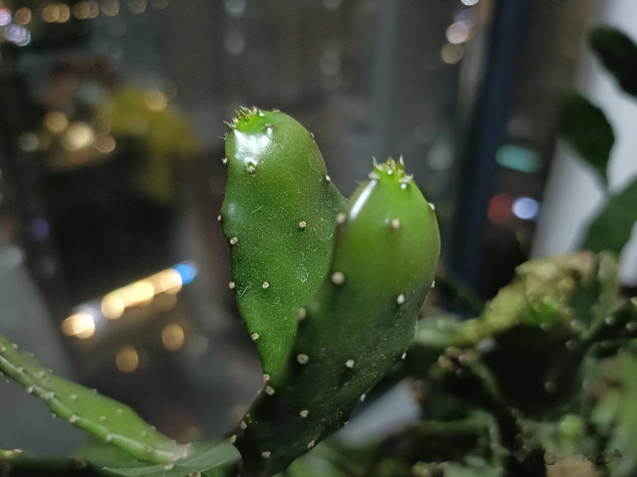 为我的真诚创作点赞！ 👍❤️🔥你也快来发布一条吧！带