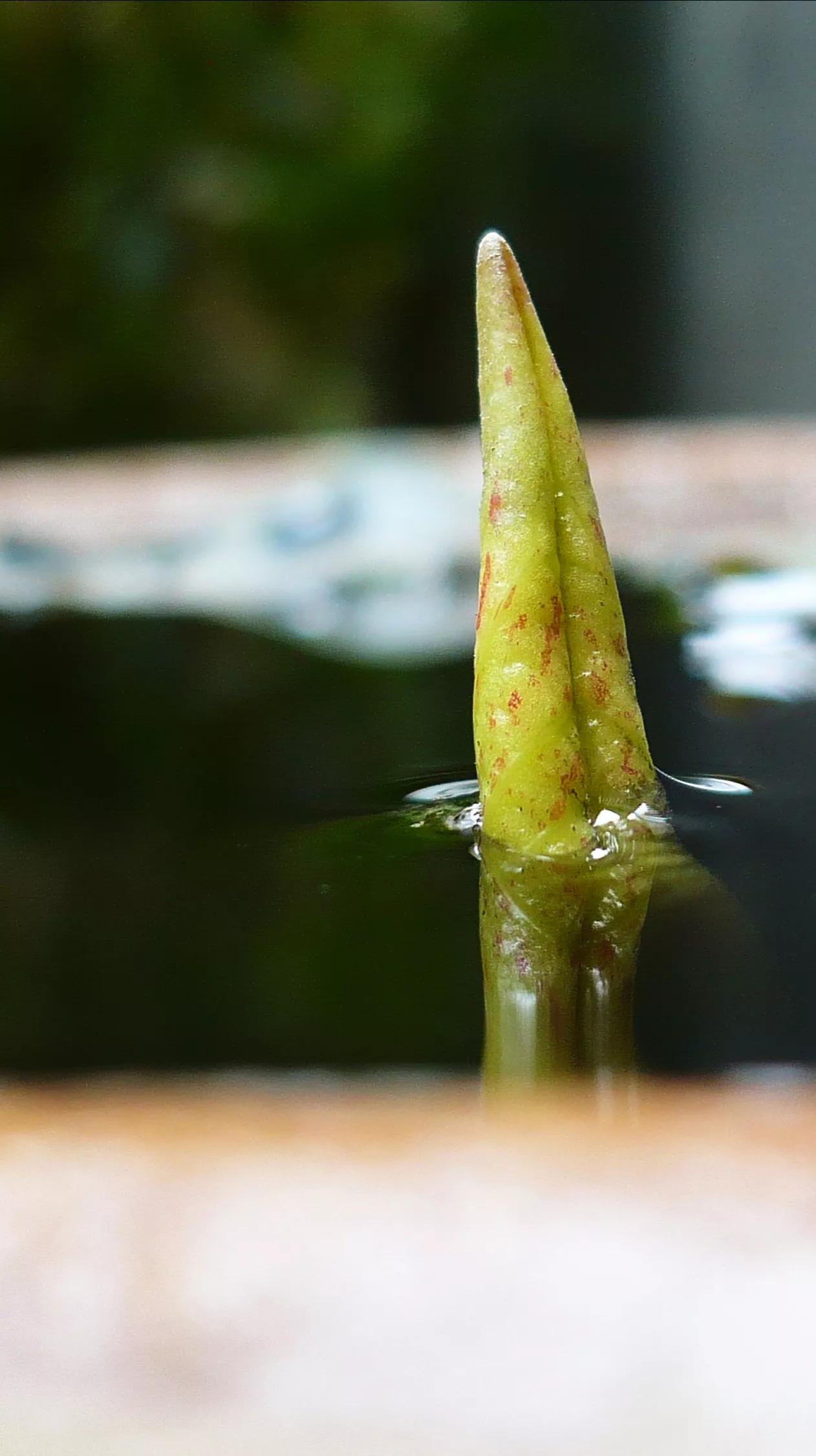 如果哪天你终于明白了“原来你屁都不是！”这句话的时候，那一刻起你所有的忧愁和苦恼