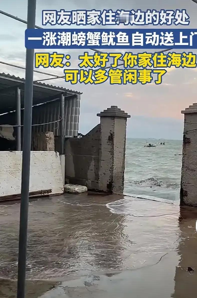 羡慕嫉妒恨啊！网友居然不花钱，螃蟹鱿鱼就自动跑回家，令人难以置信！

这网友家在