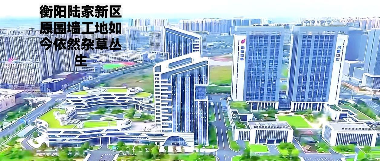 看看衡阳的陆家新区，原围墙工地，如今仍然是杂草丛生，估计是某种上的因素，停工很多