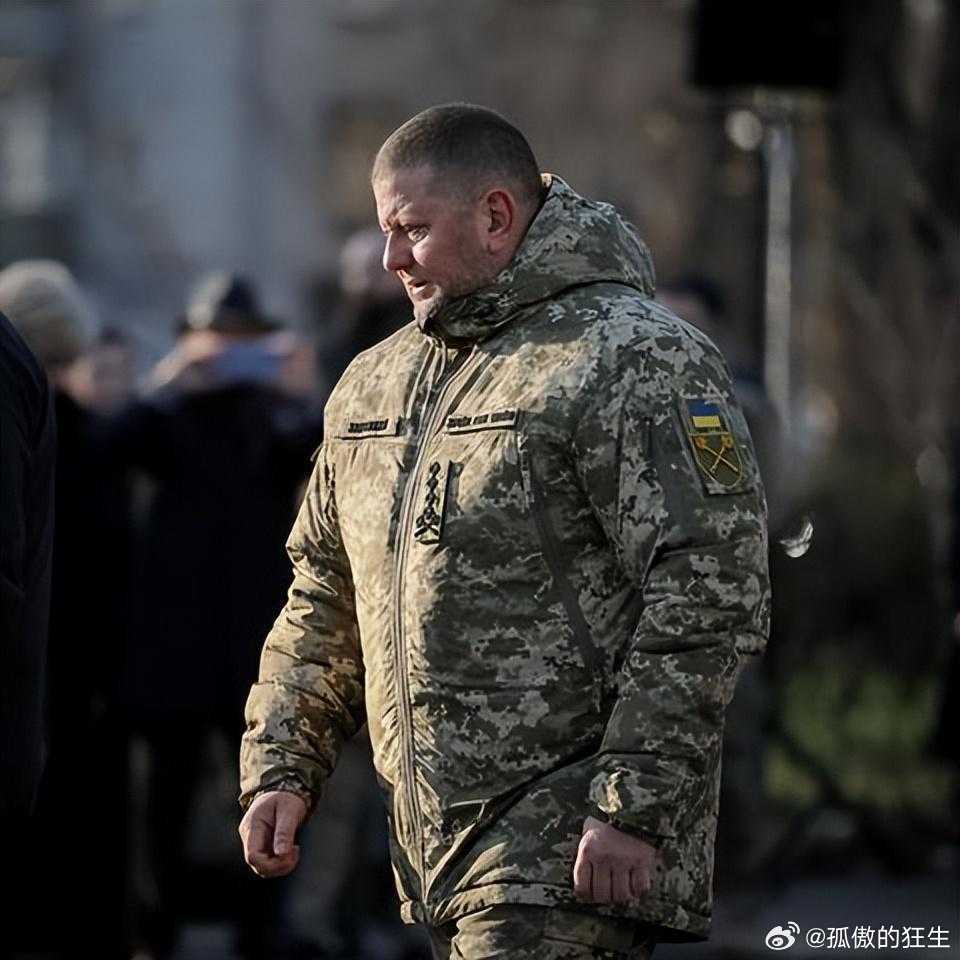 据《乌克兰真理报》报道，乌克兰武装部队前总司令瓦列里·扎卢日内已告知总统弗拉基米