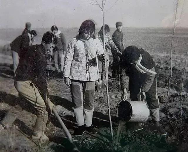 不穿打补丁衣服是从哪年开始的？
1978、1979年后人们就基本不穿打补丁的衣服