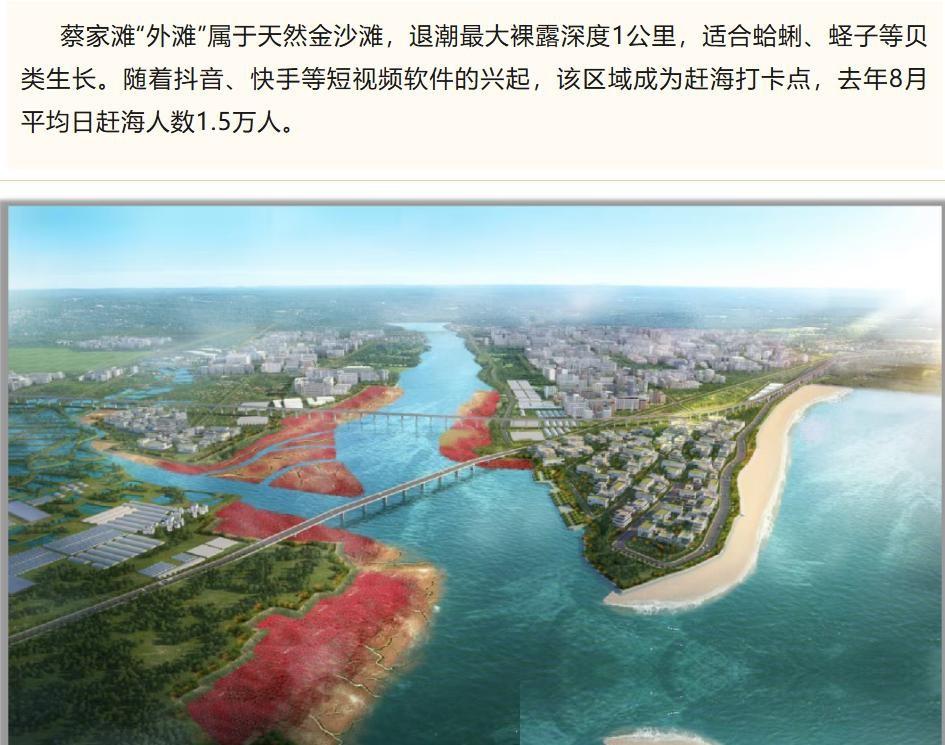 要是这两年你去过日照经开区，肯定会被那里的阵仗震撼到。到处都是转个不停的塔吊，大