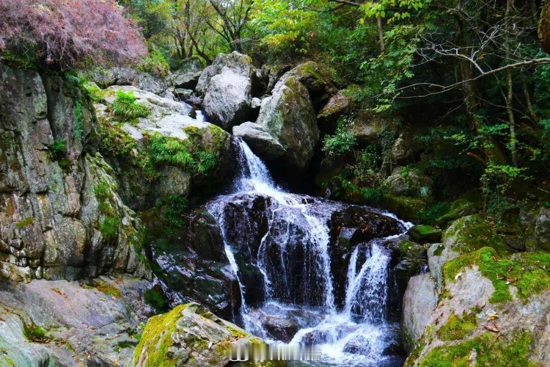 三伏天的燥热，总需要一片山野治愈✨甘肃避暑好去处藏在康县两河镇的夏日秘境，是大自