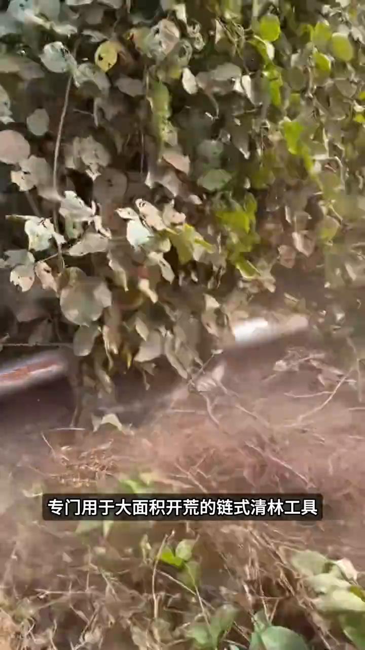 铁链开荒绝技。
这就是为什么用铁链退林还耕，看起来简单粗暴，效率却高的离谱。你看