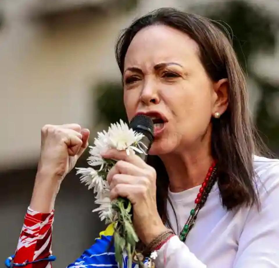 诺贝尔和平奖被授予委内瑞拉反对派活动人士
     挪威诺贝尔委员会周五宣布，委