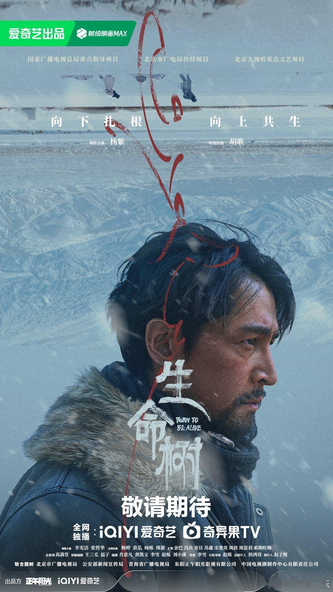 找到胡歌出演生命树多杰的原因了 胡歌与多杰双向奔赴！2013年三江源志愿结缘藏地