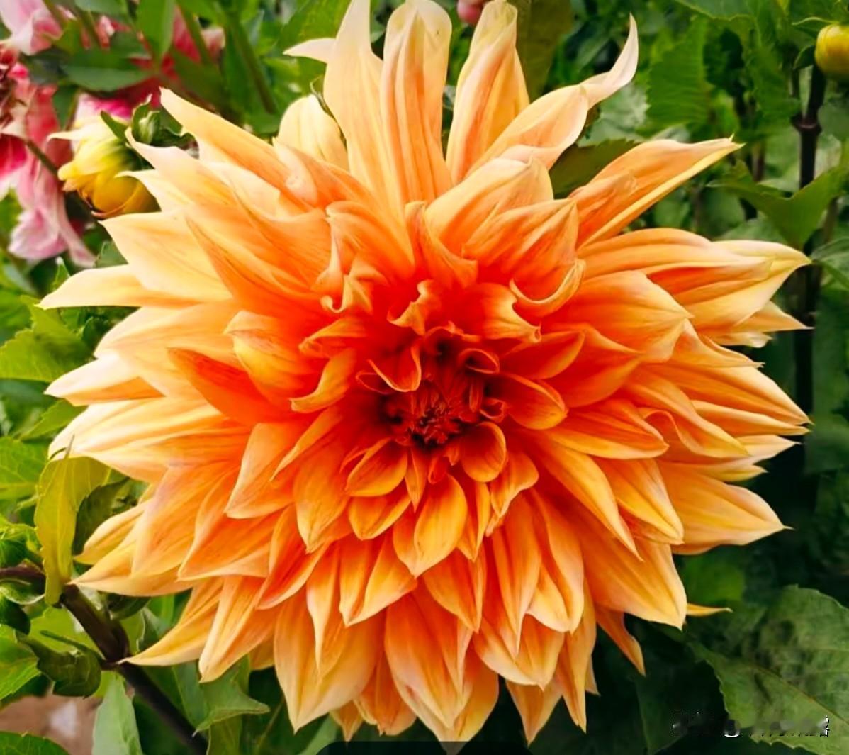 2026，愿学会与自己和解，接纳不完美，拥抱生活的每一个瞬间，心中有爱，万物生光