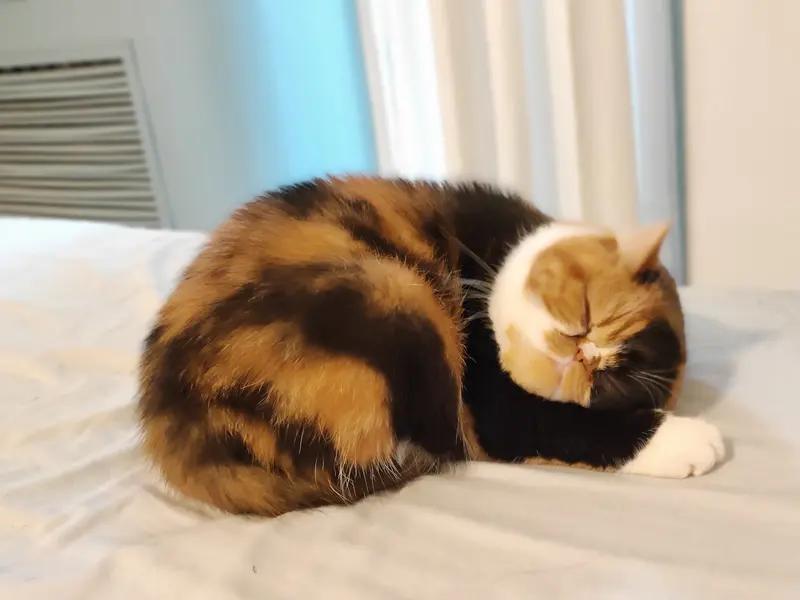 北面有煤气罐，那东面说了北面有煤气罐那我也要煤气罐，那南边说了我也要煤气罐，西面