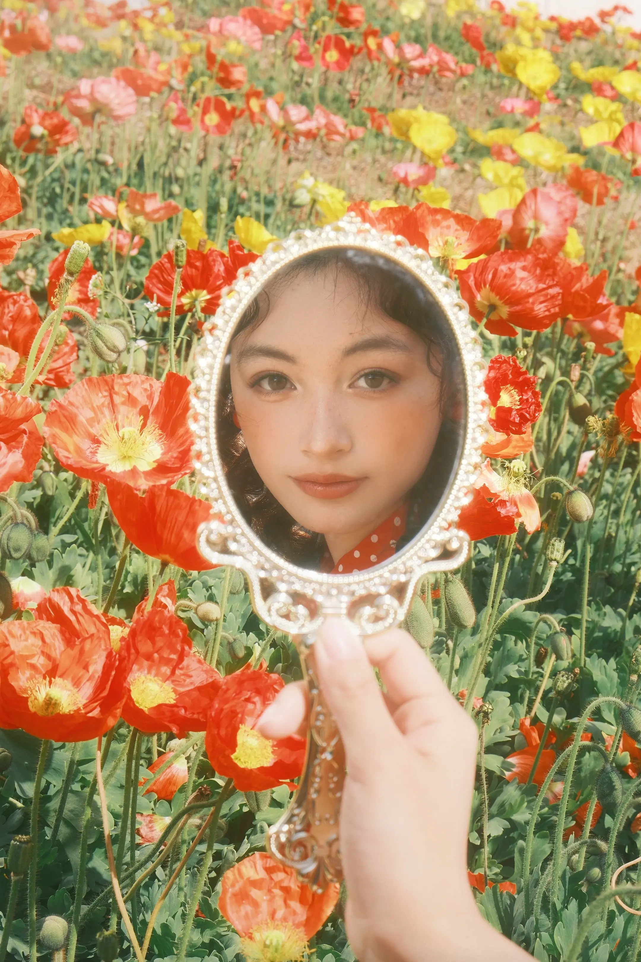 𝓬𝓸𝓻𝓷 𝓹𝓸𝓹𝓹𝔂.🪞红色虞美人