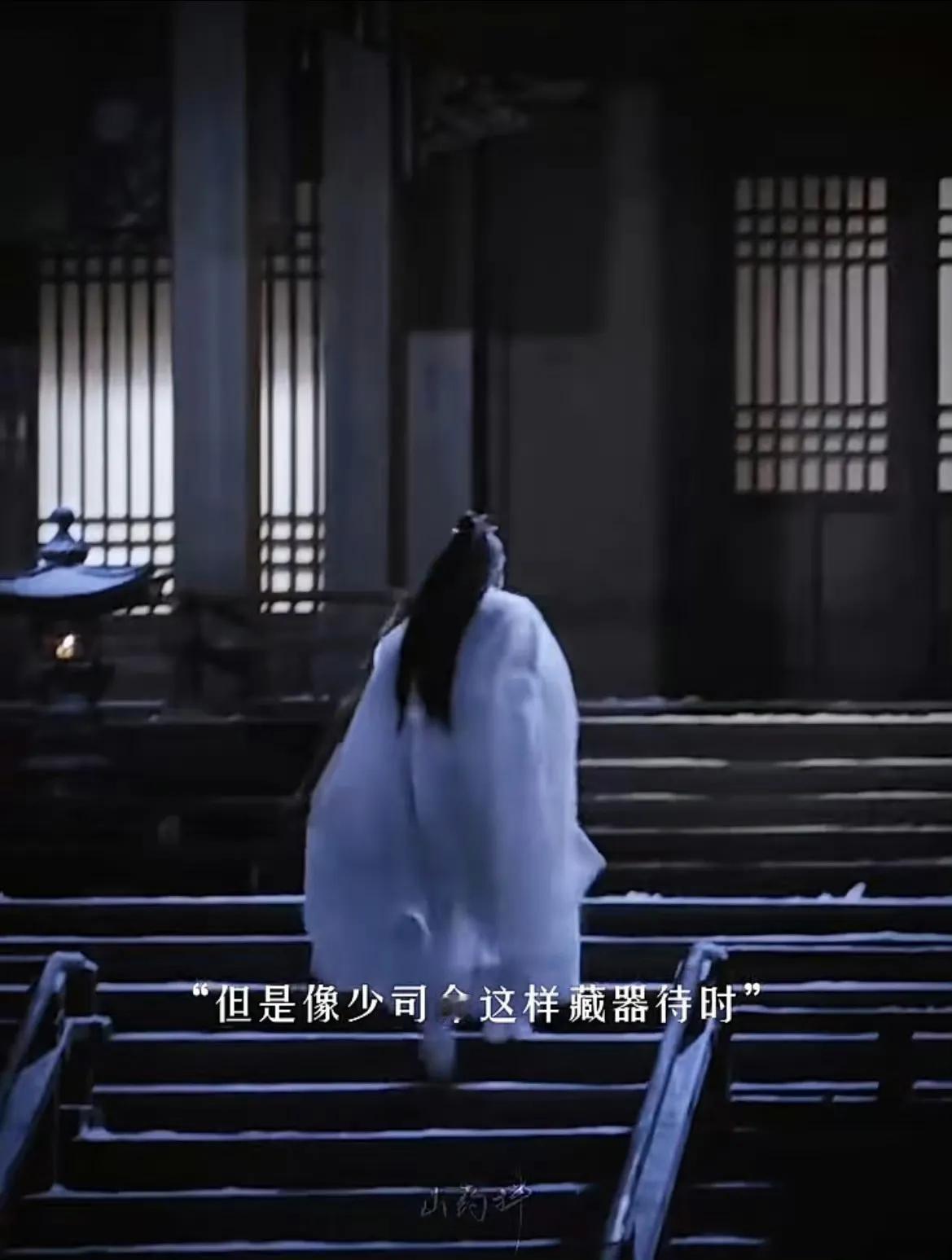 气质卓然的少司命 ——“但是像少司命这样藏器待时、风云重起的，整个空桑找不出第二