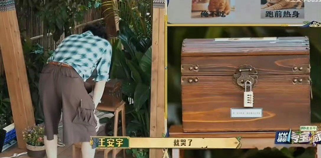 想借王安宇大脑用用王安宇聪明的大脑占据高地老王哥的大脑持续营业，动脑赚钱两不误，
