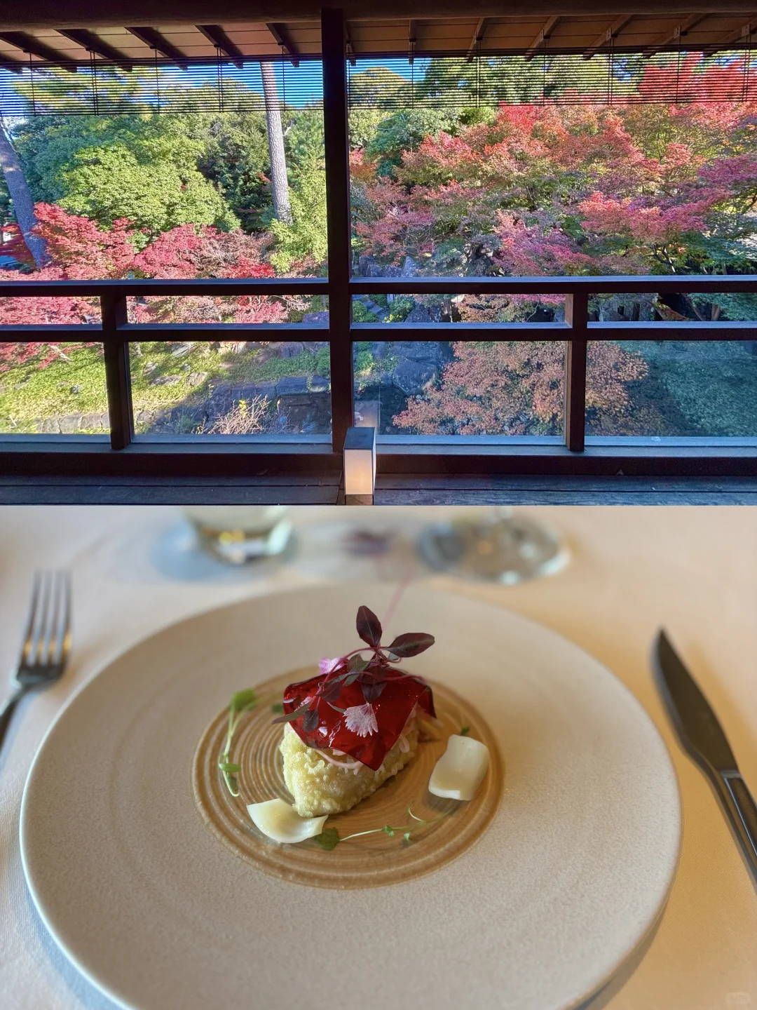 名古屋｜德川园观景法餐🍴🍁
