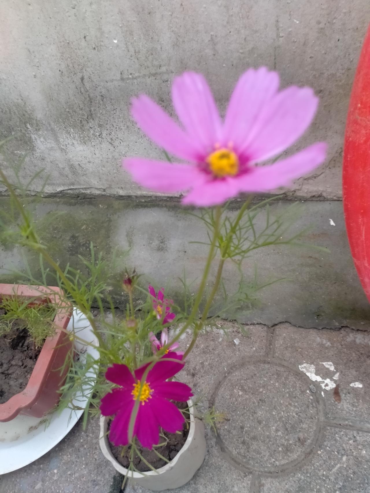 春风摇绿柳，
细雨润万物。