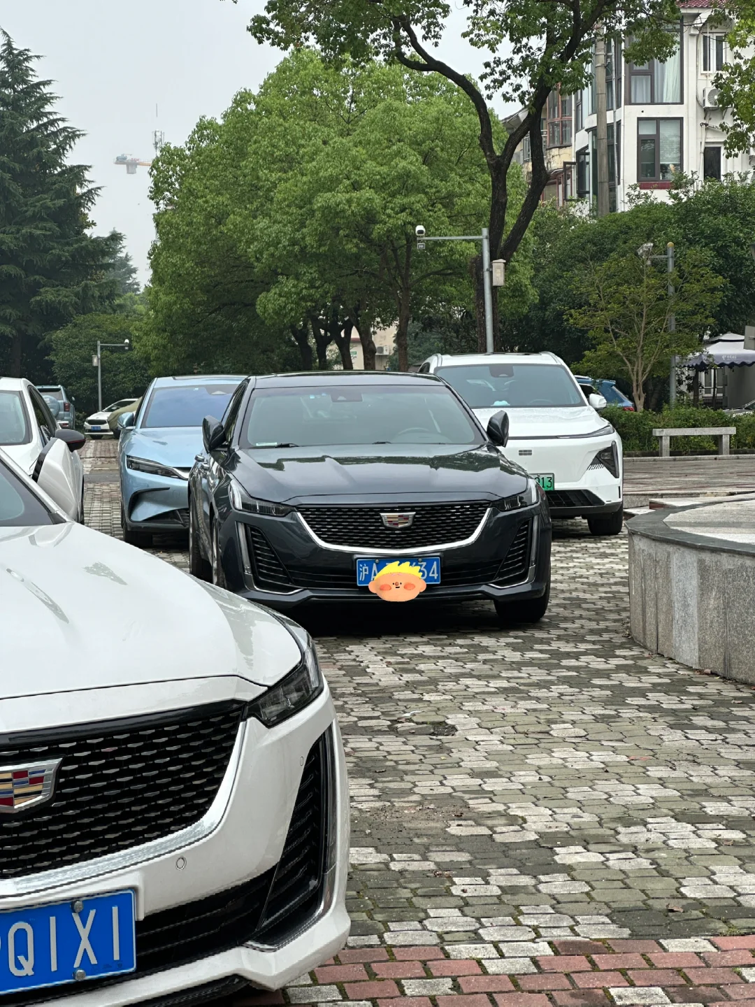 听说凯迪拉克车主都有个特别的习惯