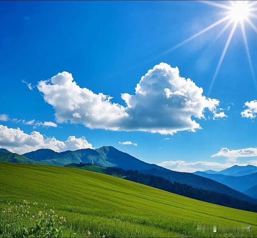 别跟我聊钱，
别跟我谈孝顺！
我就问你：
老了躺床上动不了，
有钱有啥用？
儿女