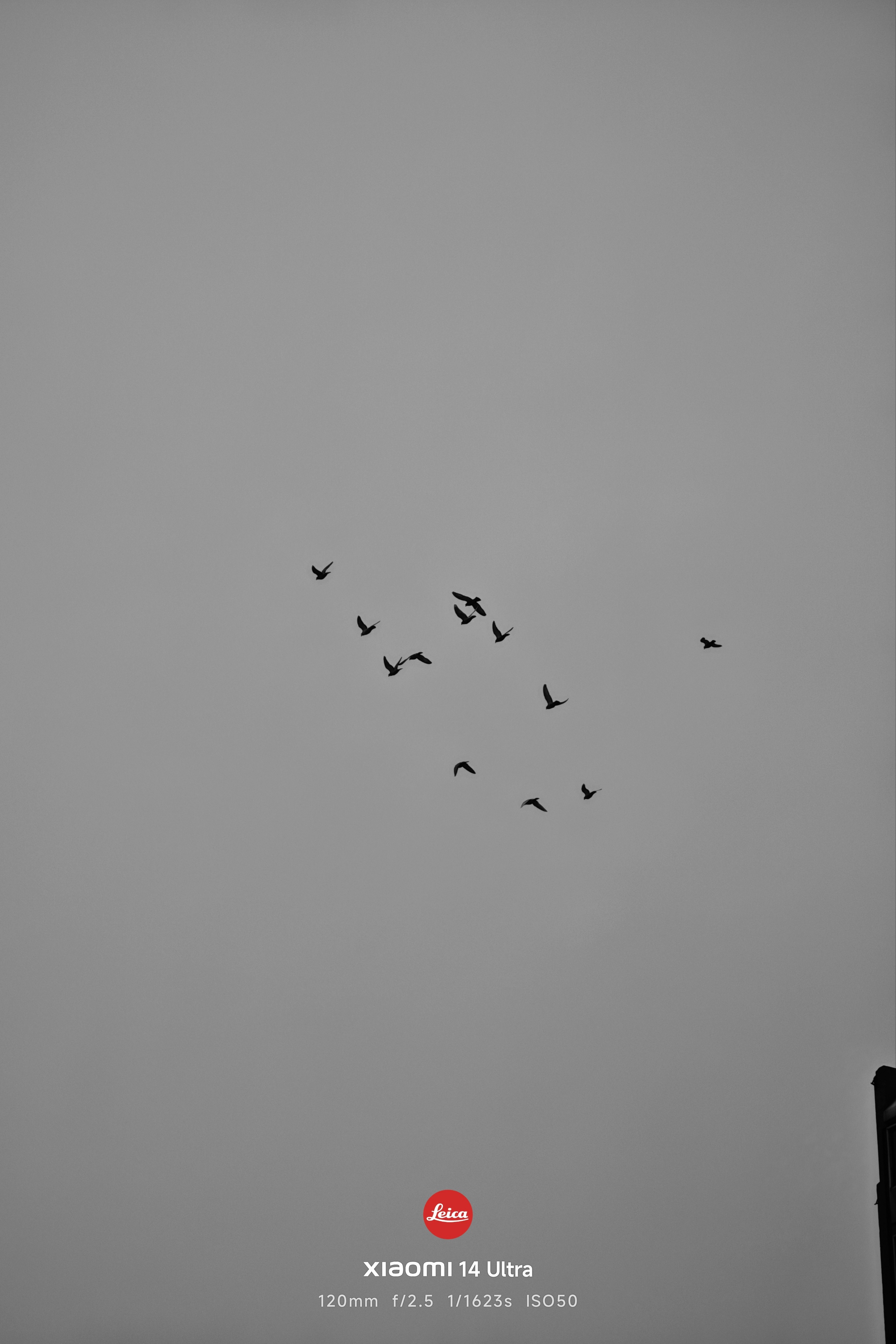 Amani摄影后期：聆听猎人    聆听猎人的小米14Ultra