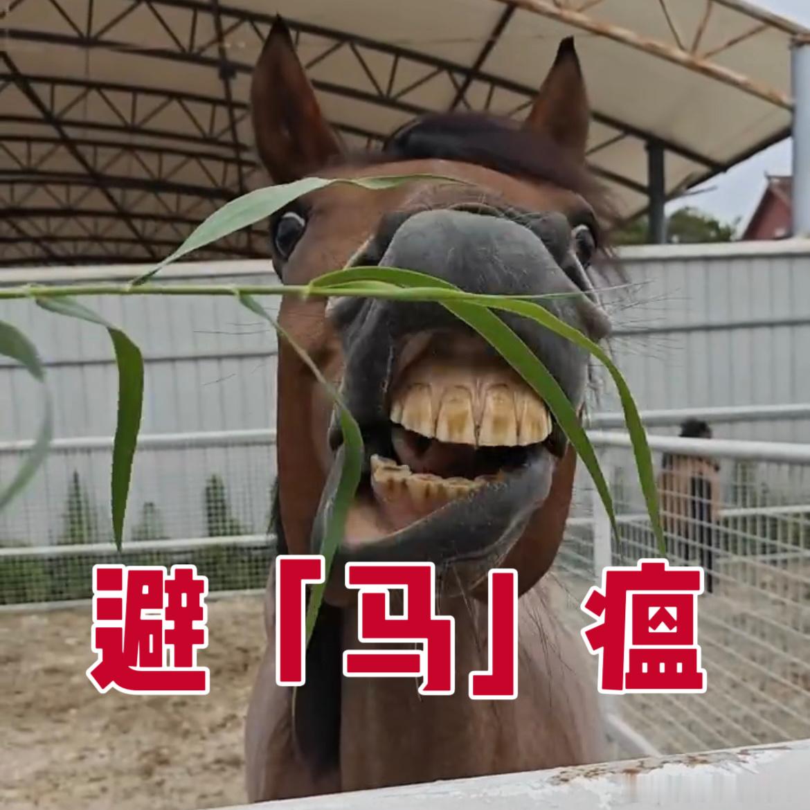 刘宇宁说以后会加倍注意知道了 
