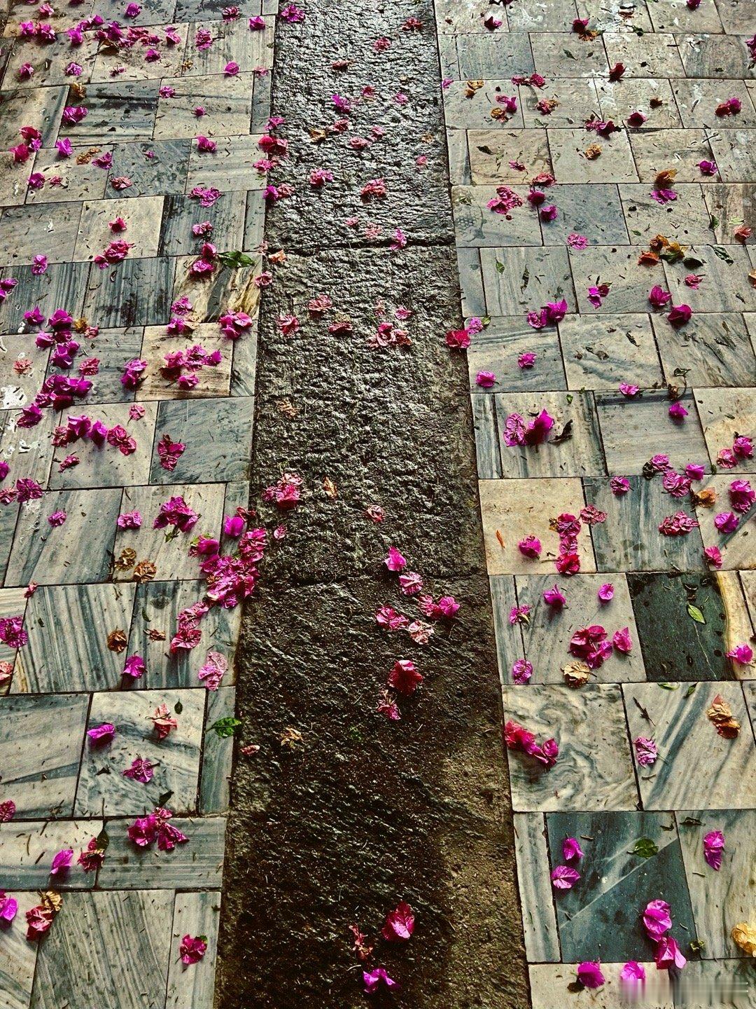 化作春泥更护花～想护都无法 