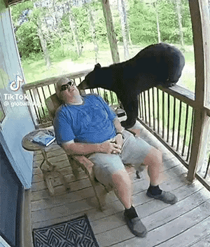 这头熊的性情还算是比较温顺的，只是用鼻子嗅了嗅这个人，并没有用舌头舔这个人，也没