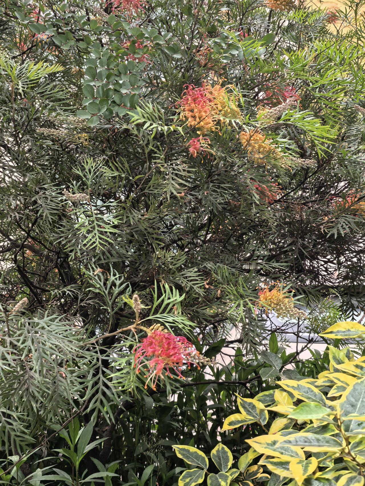 天赐材料A股今日走势情况及展望

一、今日行情回顾

盘面异动

天赐材料A股今