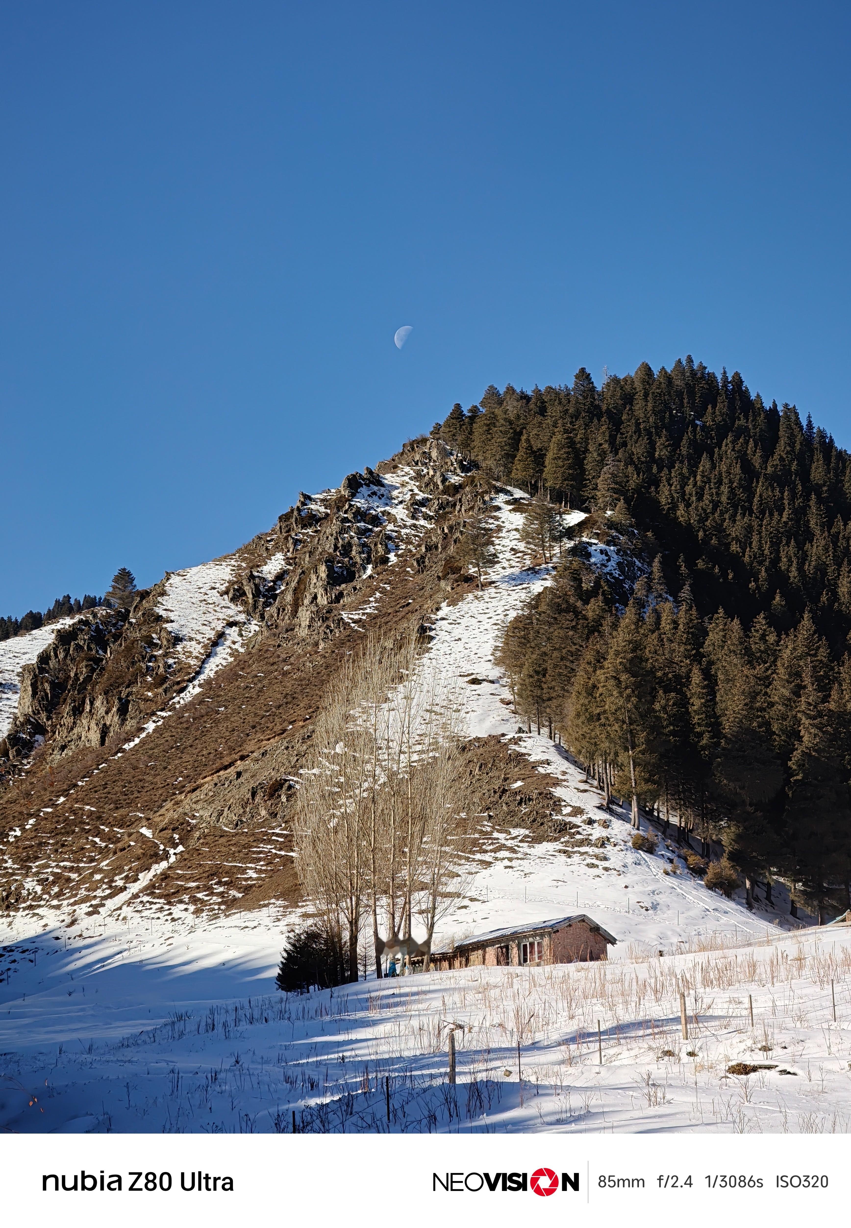 带着努比亚Z80 Ultra直接去村里了，一翻相册发现拍了一堆月亮……还好景美不