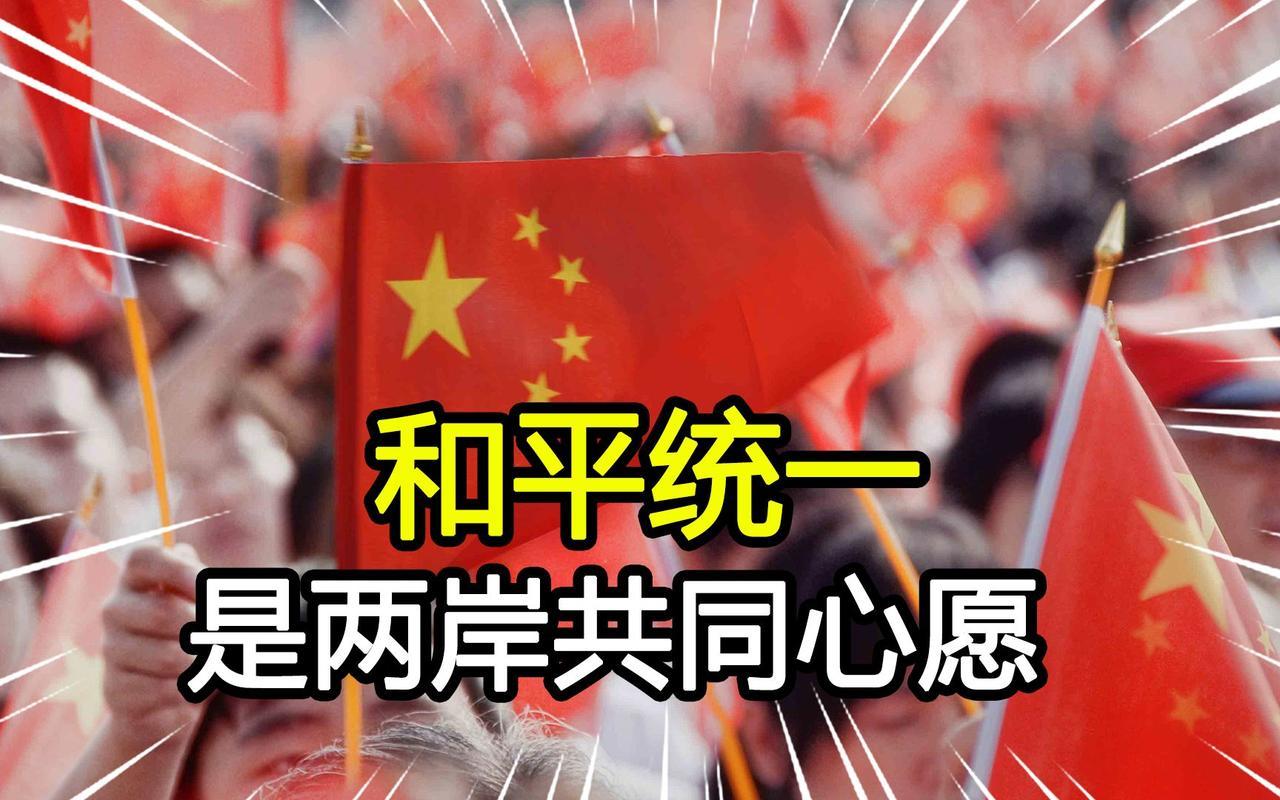 台湾统一主要有和平与非和平两种方式。我更倾向和平统一，这对两岸都好。就像“和平统