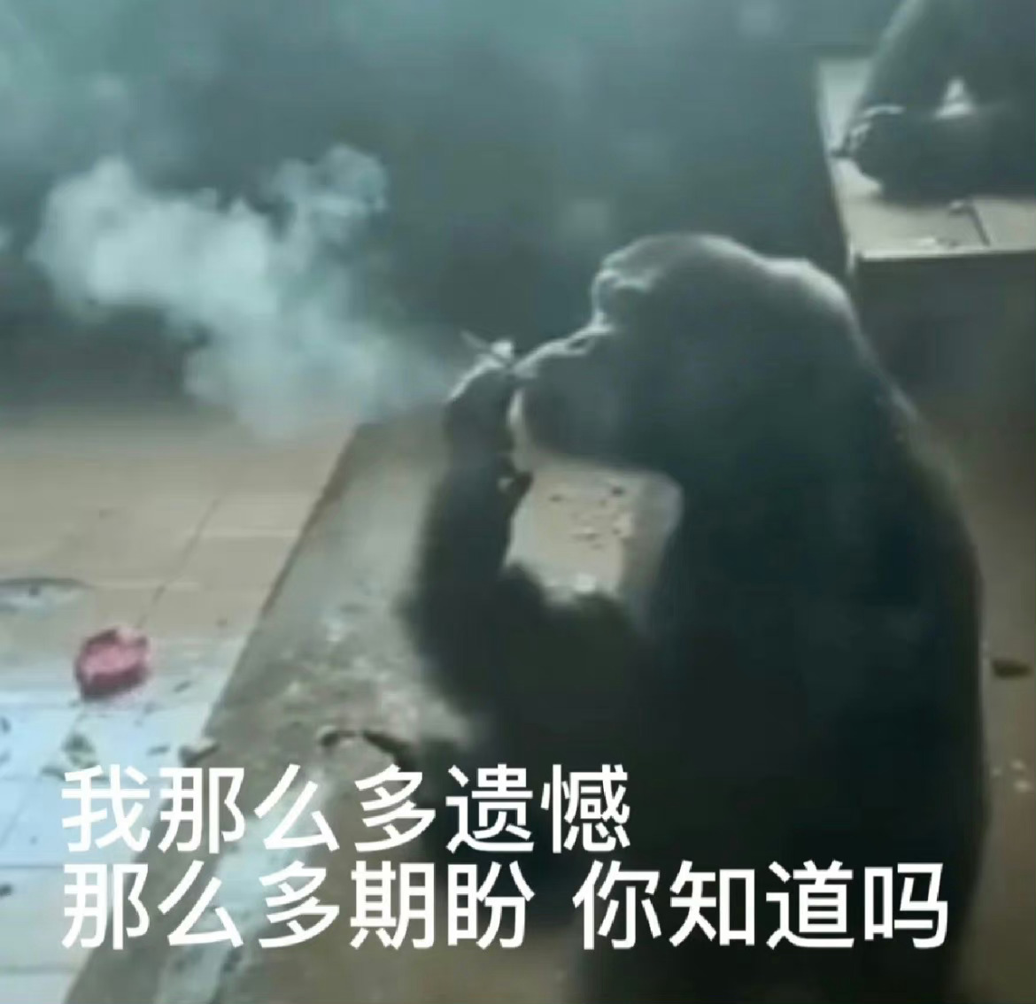 去年夏天的三大新援赢家，快船没进季后赛，掘金火箭都首轮出局，小朋友们，这个故事告