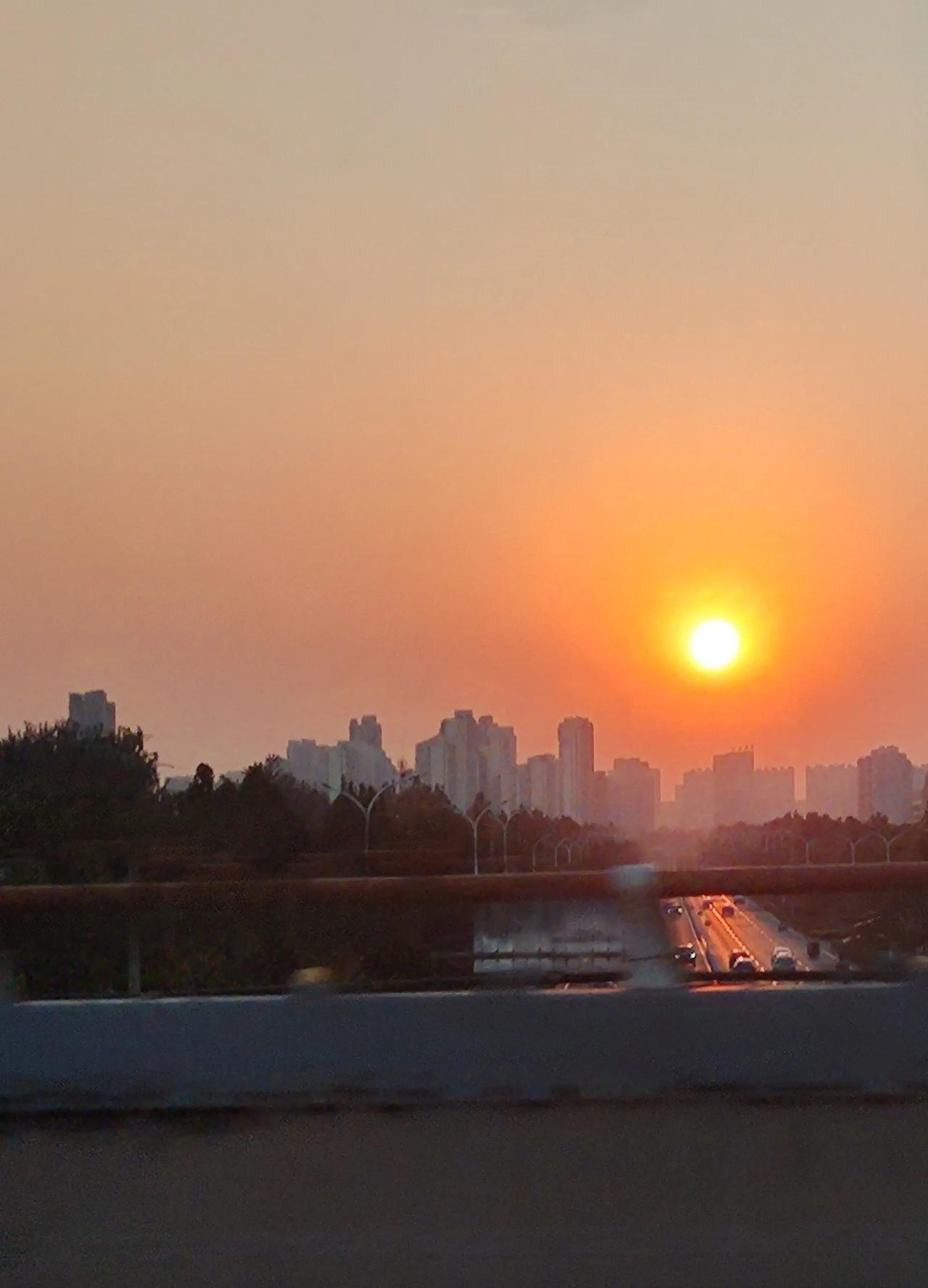 深秋时节，午后的时光越来越短暂，夕阳眼见着落下去了，柔和的光太美了太治愈了。
