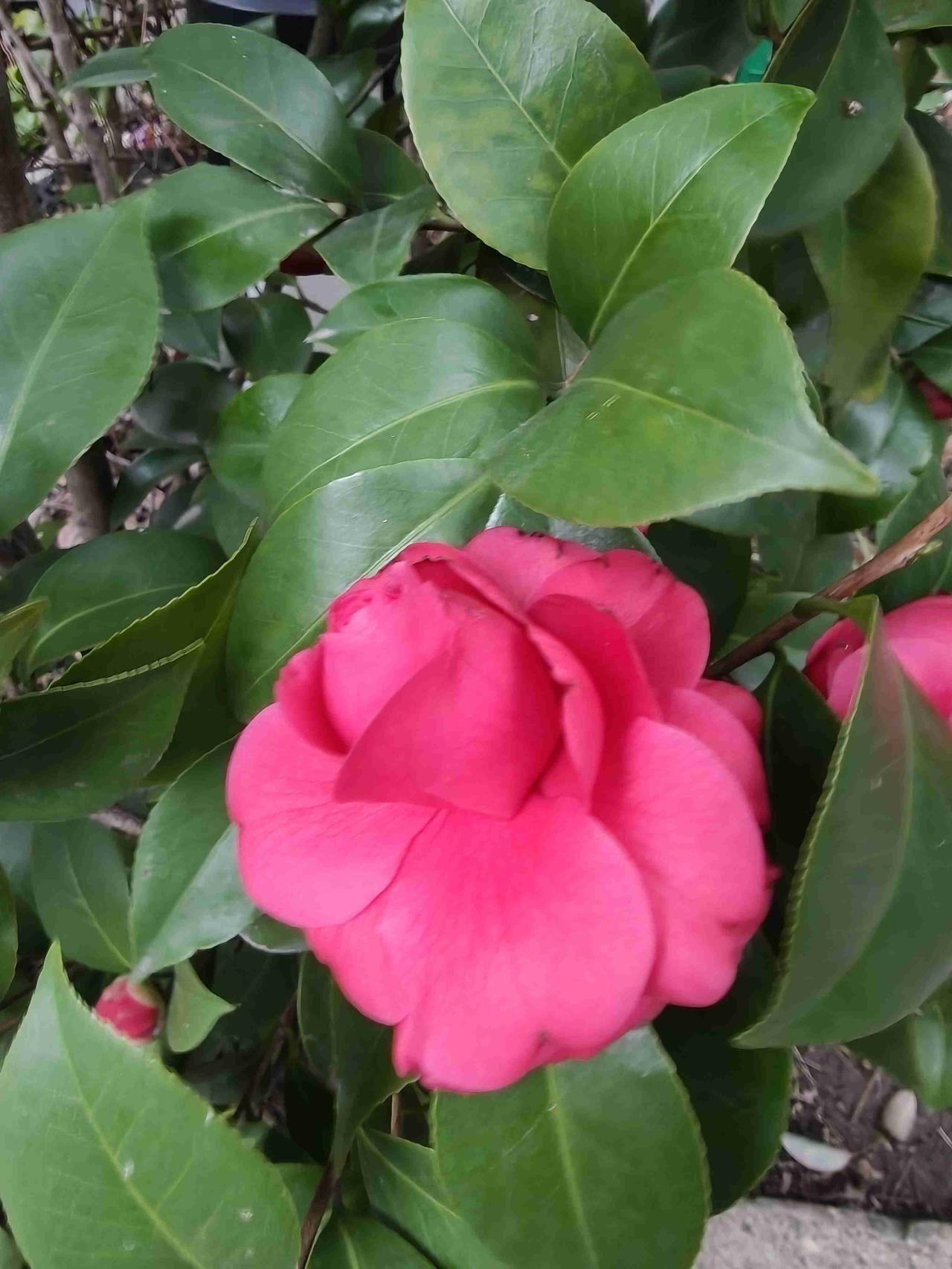 我的今日状态：🏝️旅行度假
我这里的天气：☀️晴天