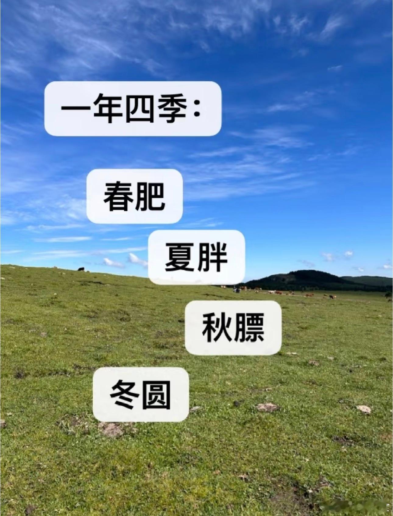 为什么说爱吃的人都很有出息，因为食食物者为俊杰。 