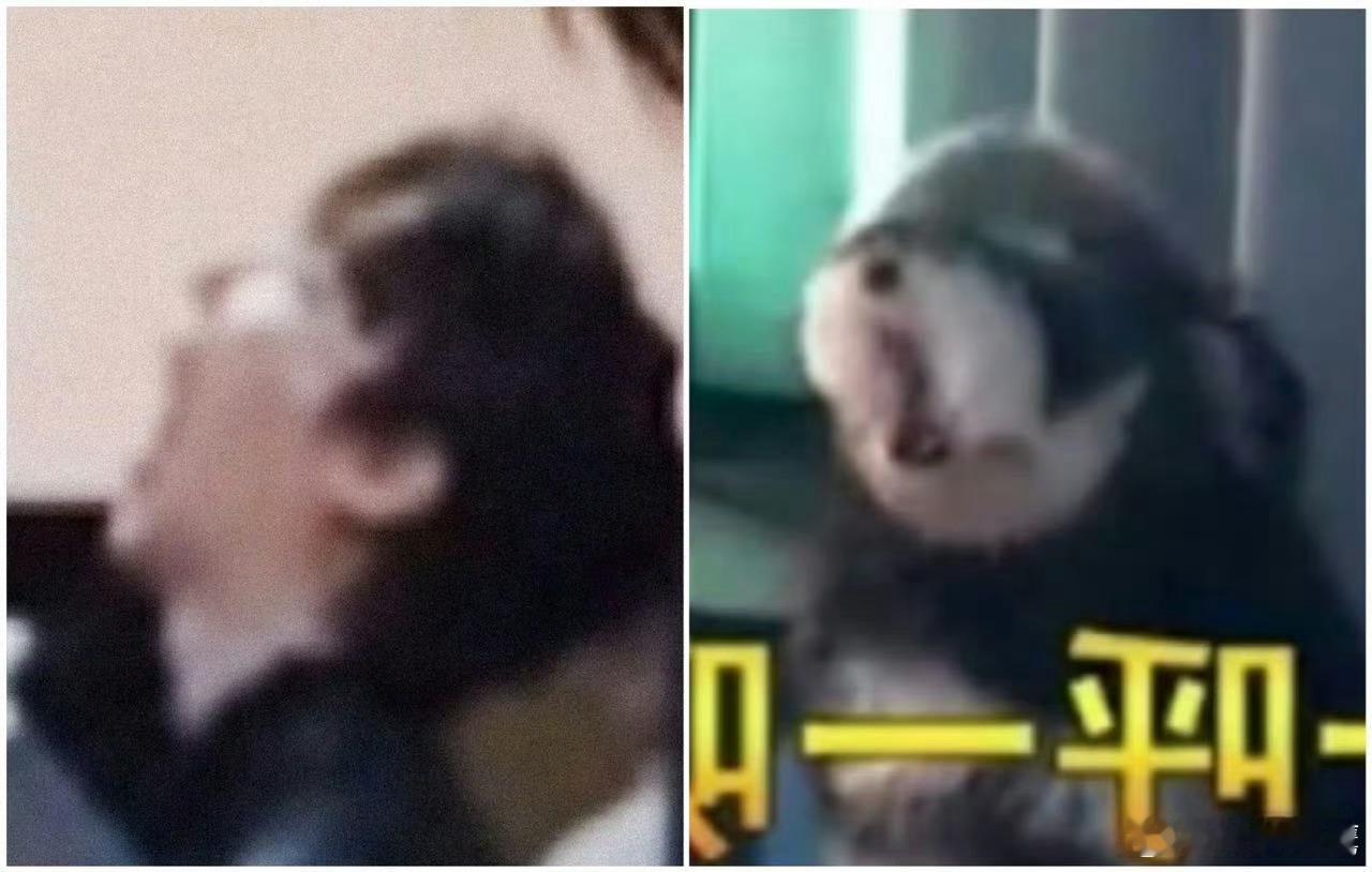 摩登兄弟  啊