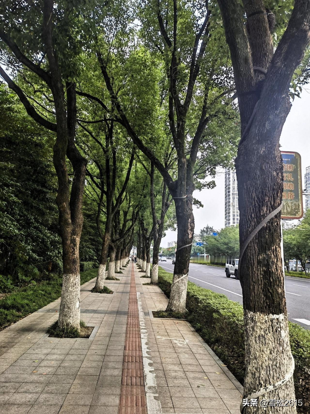 漫步城市，享受不一样的风景。

昨天下午沿着通途路慢行，才发现开车时错过的风景，