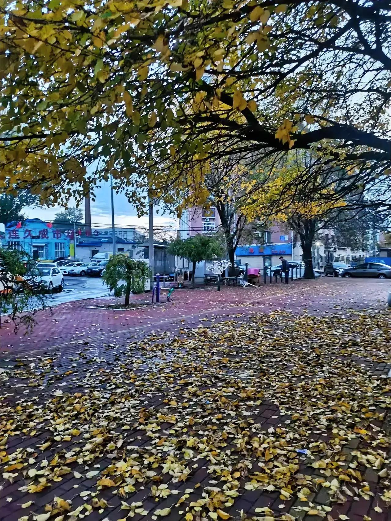 老伴发给我一张照片，让我写几句话考考我的文采，我大笔一挥写七绝。可是，写到最后一