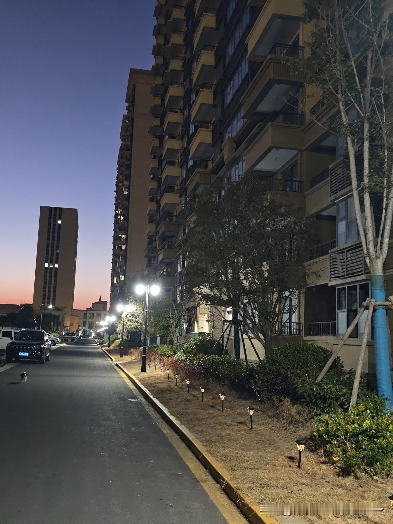 今天是金碧物业走后的第67天。

今天不知怎么了，刚发布的一篇，不知跑哪里去了？