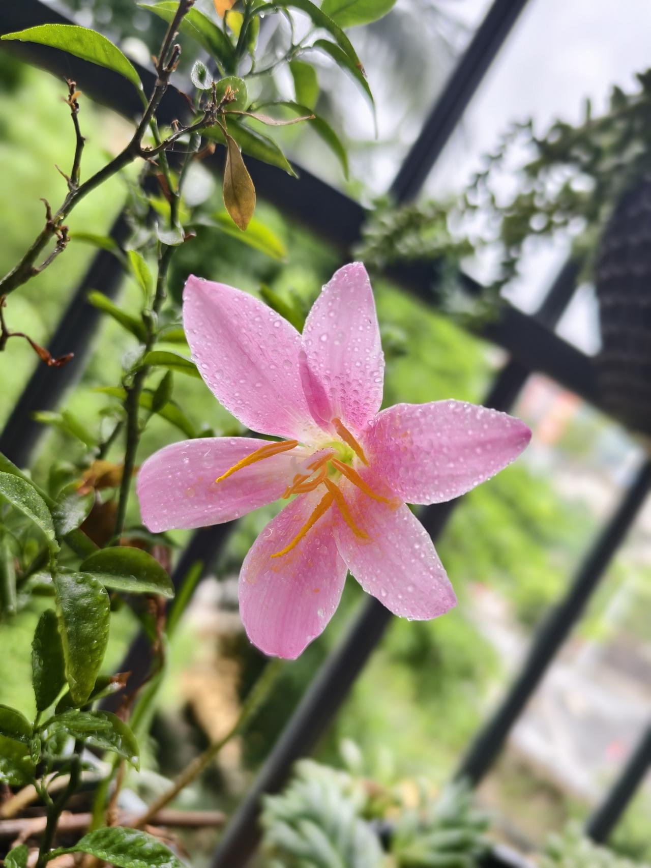 非常实在的话：“人一旦跨过六十出头，才算真正踏进晚年生活，直白点说，能活到六十五