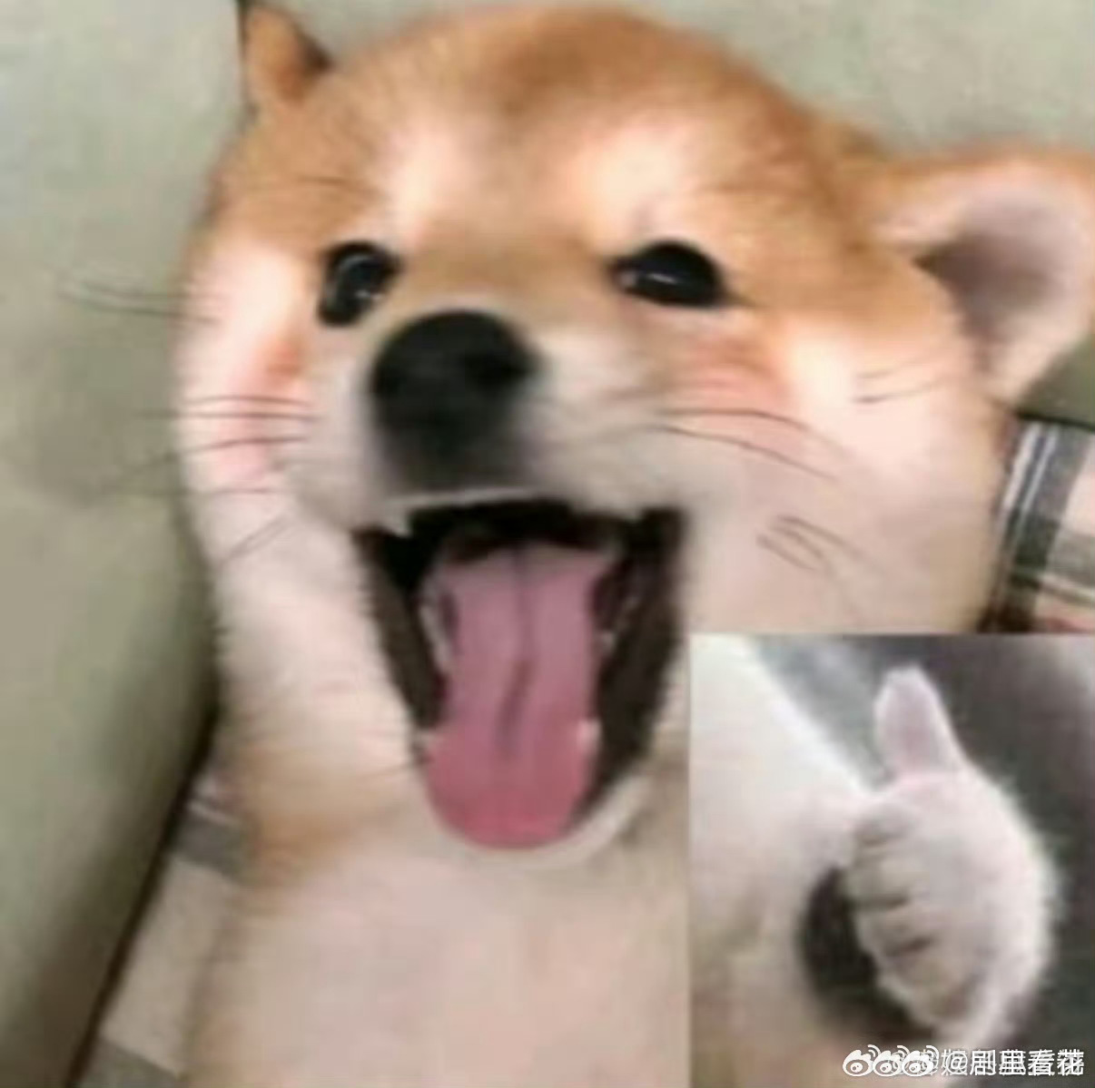 川超已带头干翻成都⚡谁能拒绝这场对决！川超顺应民意组建联队迎战，堪称官方带头“搞