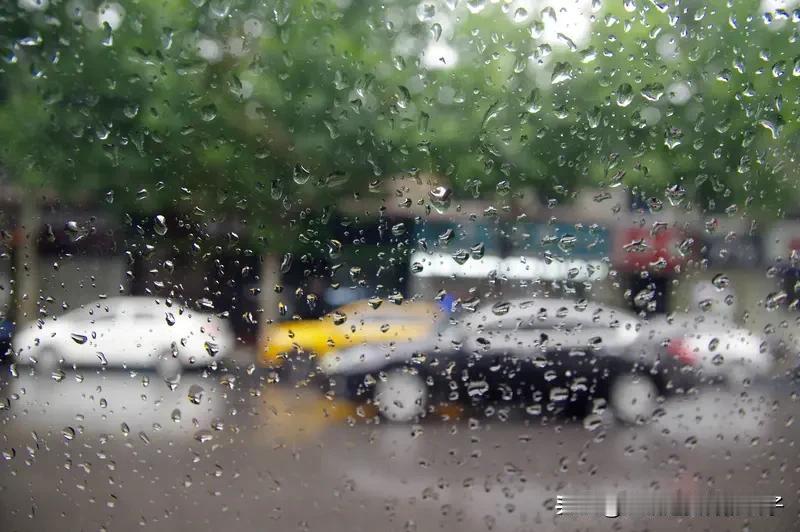 雨是以液态水的形态落下的。空气中水汽饱和后，多余水汽会凝结成小水滴，小水滴不断碰