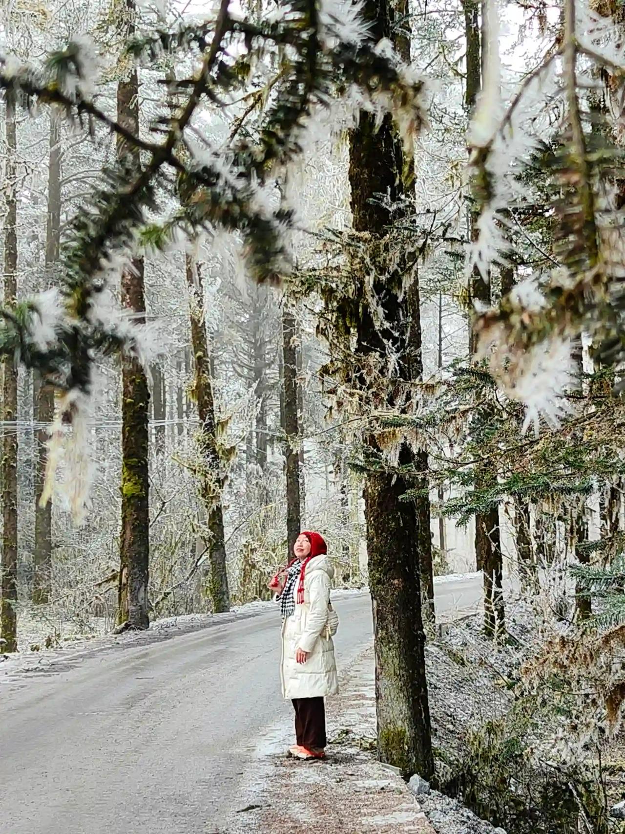 我冬天都是穿夹棉的阔腿裤，搭长款羽绒服或者短款的都不觉得显胖。而且这种搭配特别实