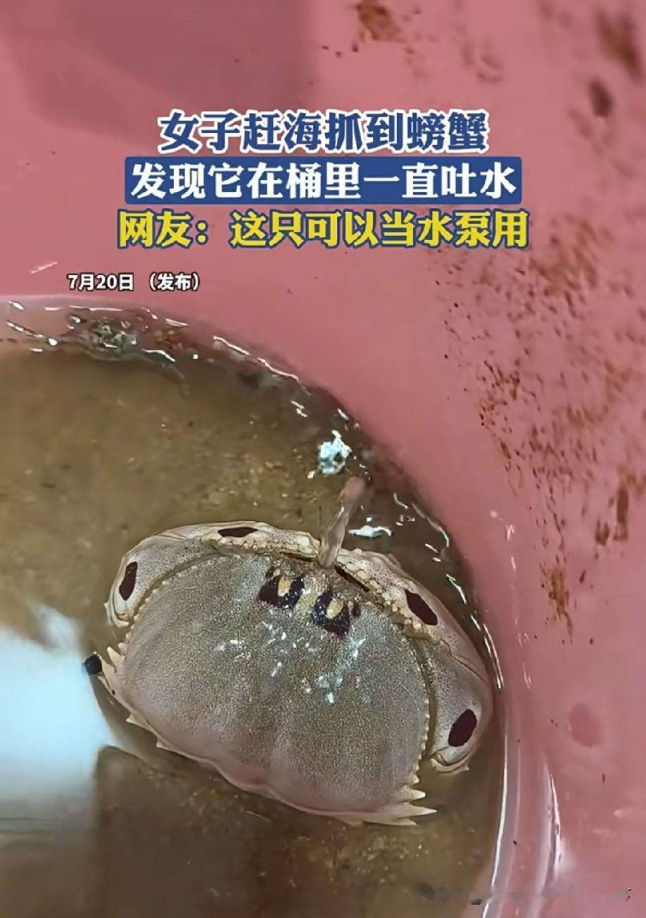 它是怎么做到一直吐水的？