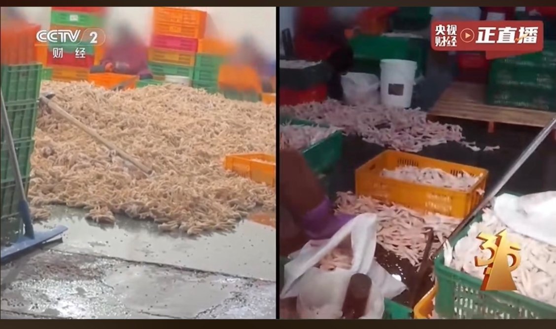 #315晚会##315晚会曝光漂白鸡爪##网红鸡爪生产车间令人作呕#又是一年31