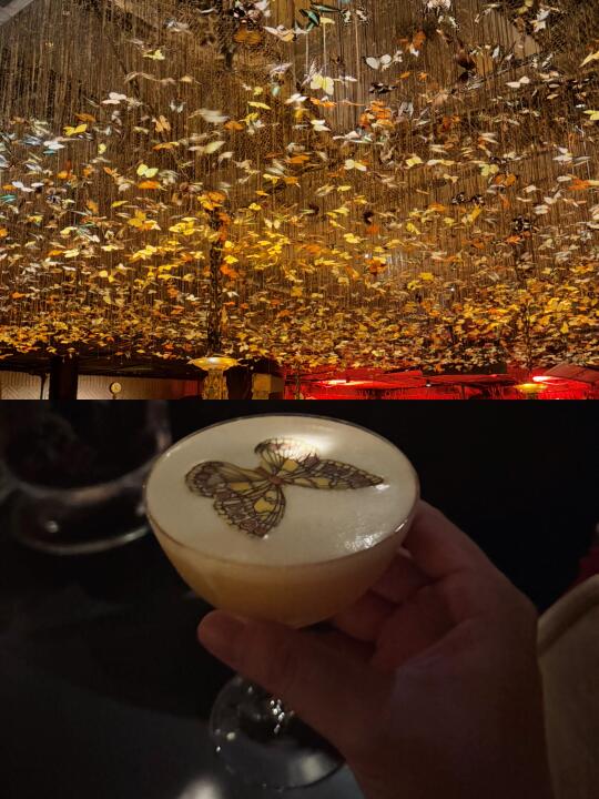 🇭🇰香港中环绝美的魔幻蝴蝶酒吧！好惊艳！